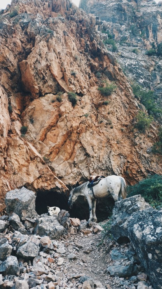 Photo #4566066