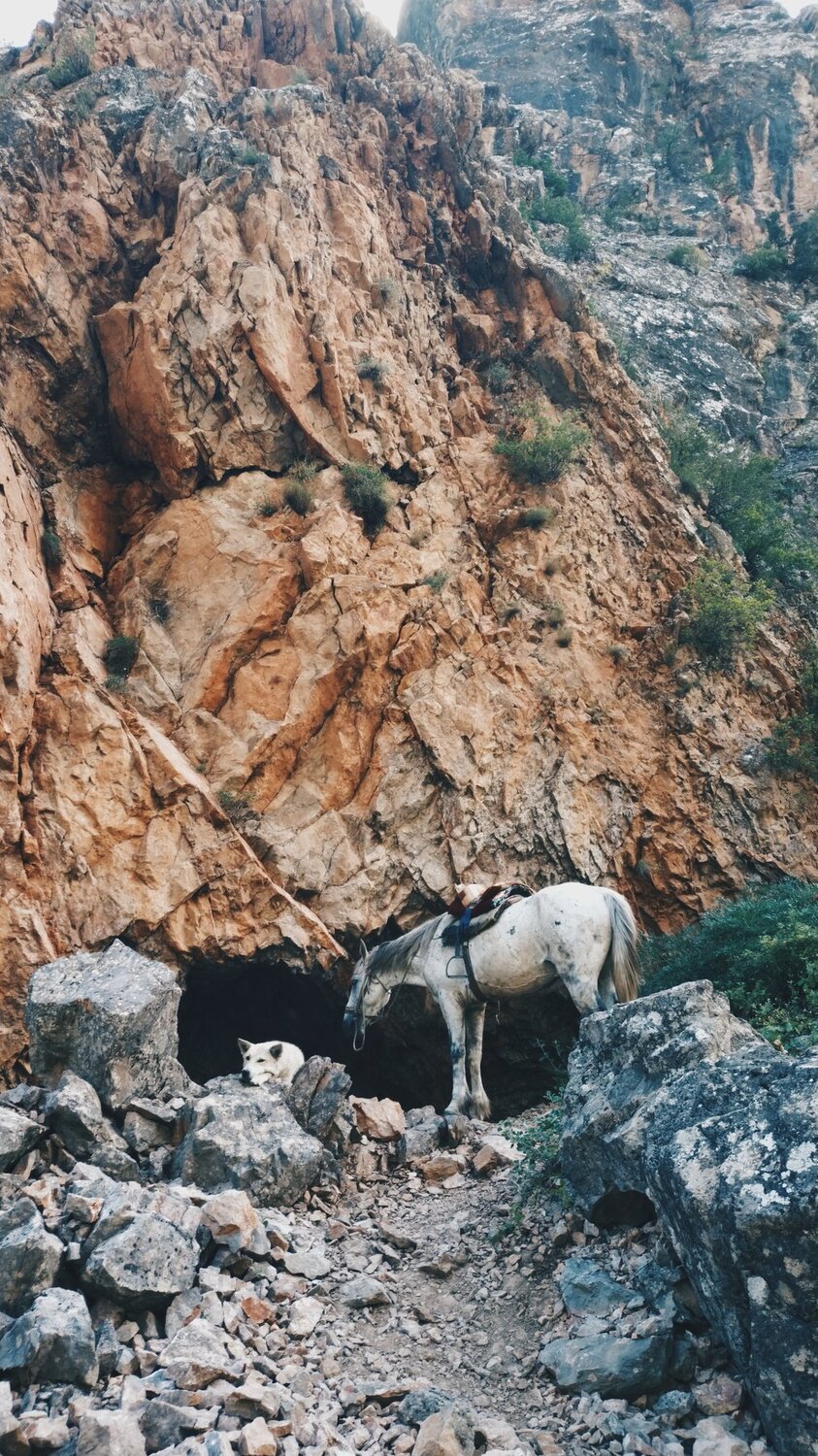 Photo #4566066