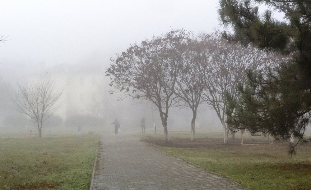 Утро в тумане...