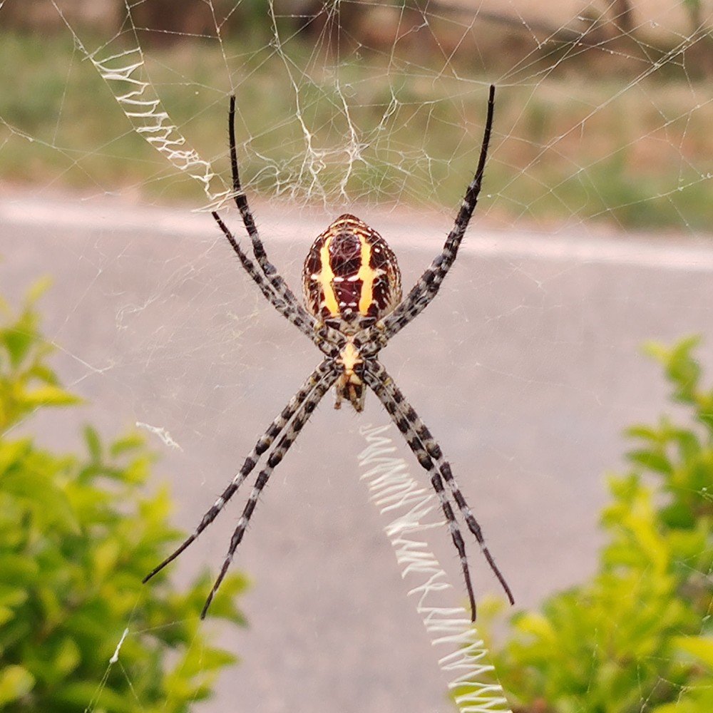 Photograph by vivek Kumar