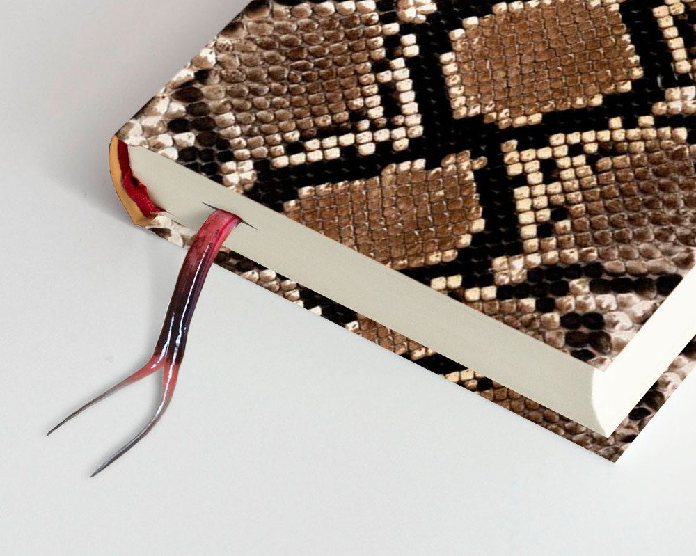 Фотография автора Михаил Трищенков