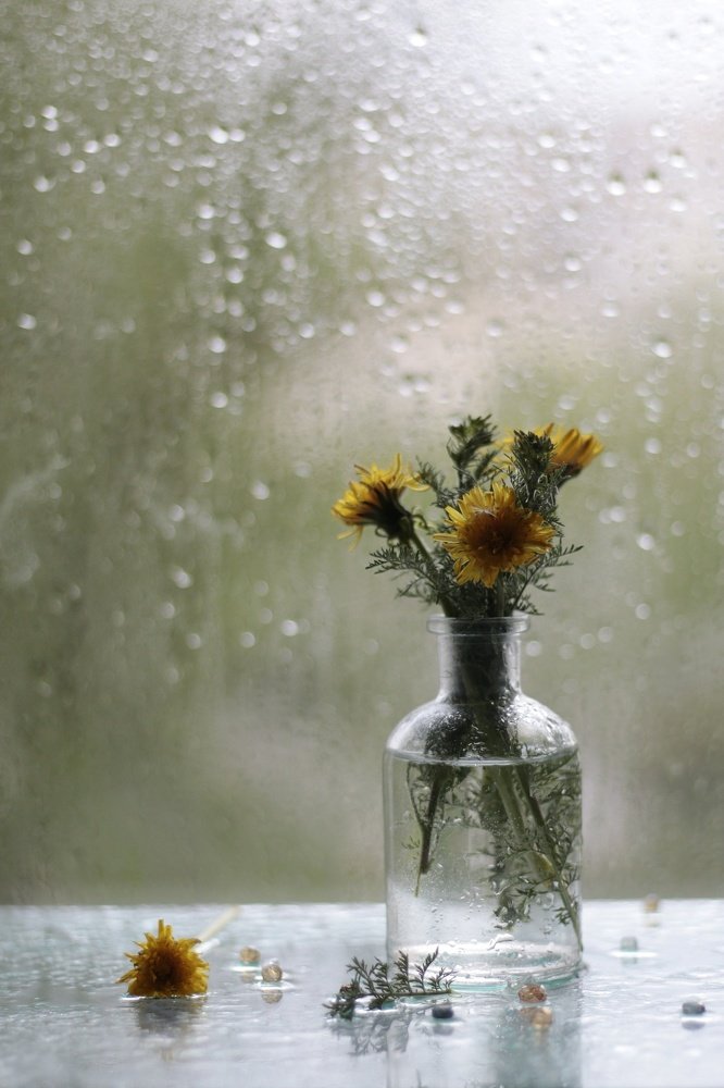 Photograph by Наталия Запорожец