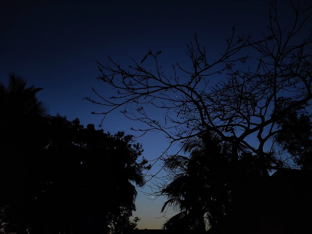 Photograph by MD. SARKAR