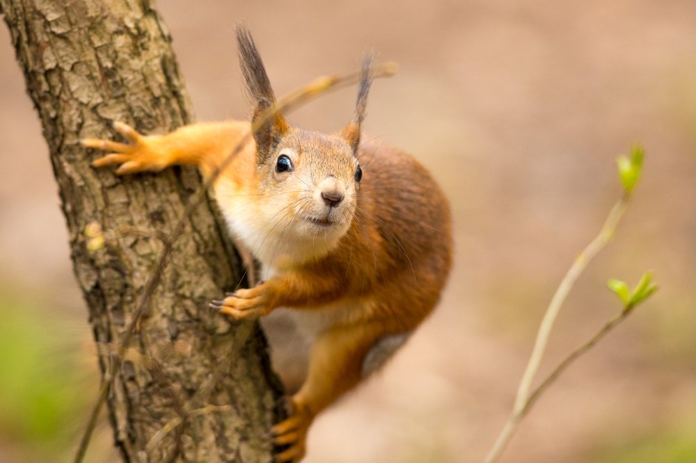 Photograph by Власов Егор