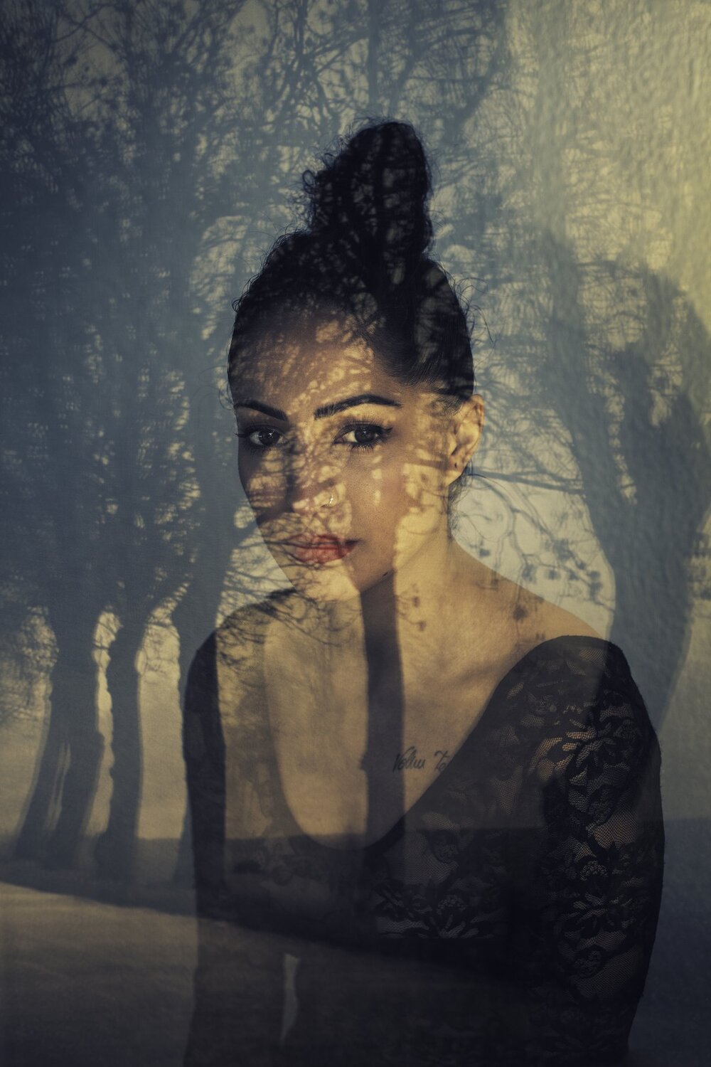 Photo #4566402