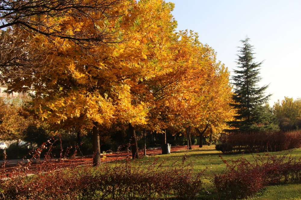 Photograph by Nuray Sinal