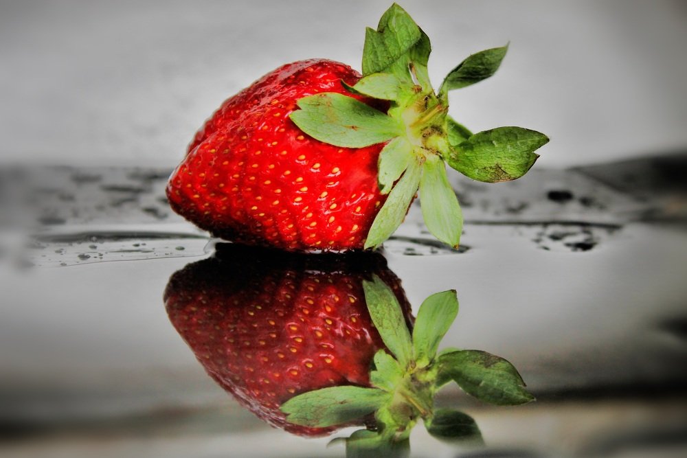 Photograph by Francisco Ferreira