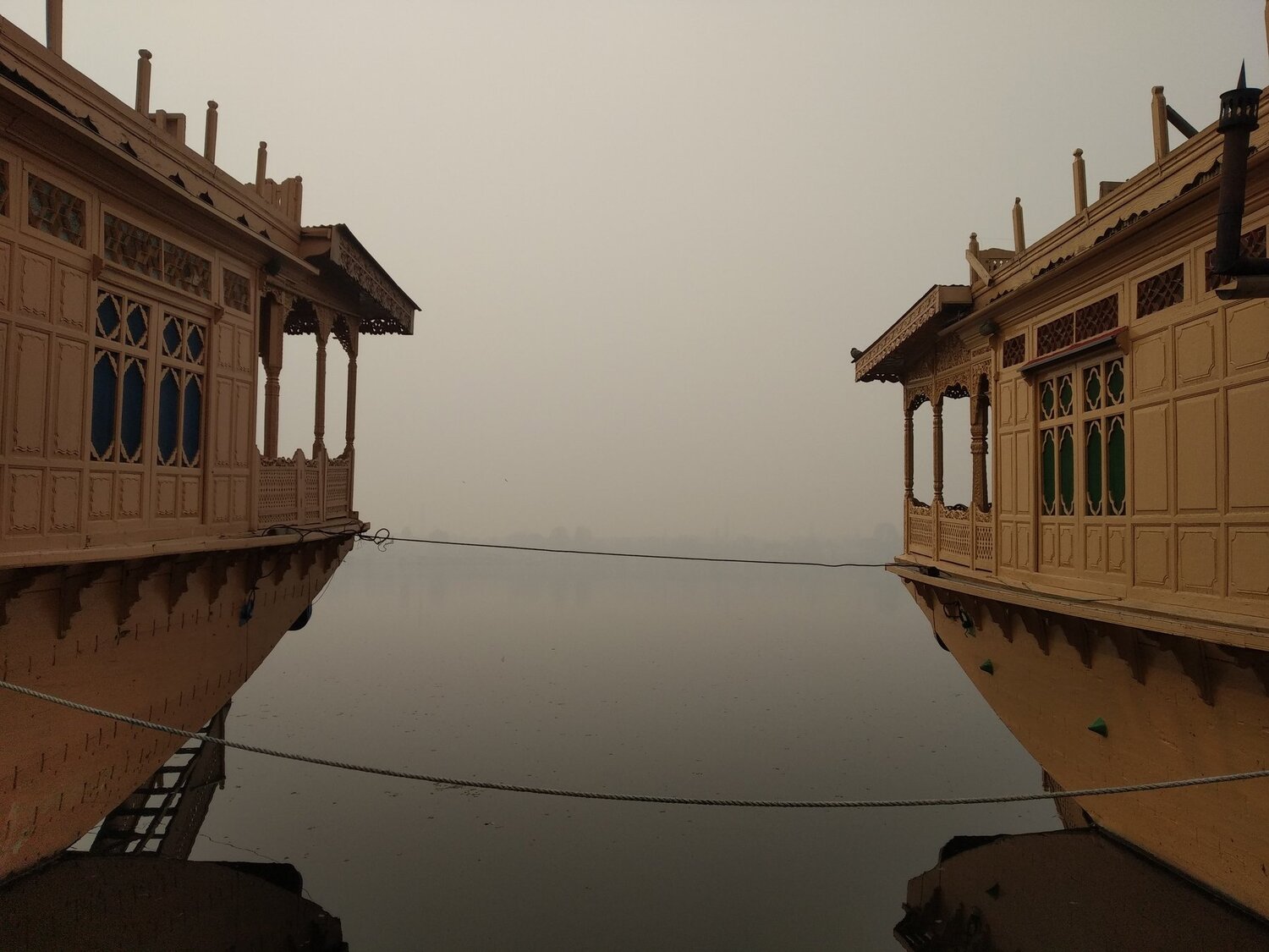 Photo #4566801