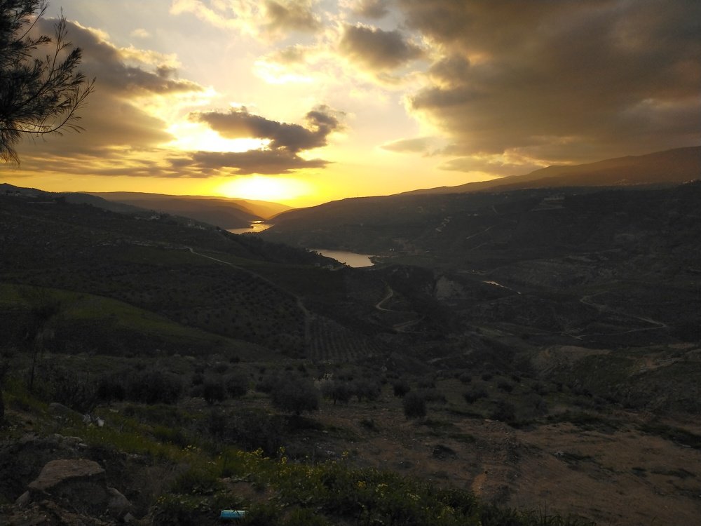 Photo #4566846