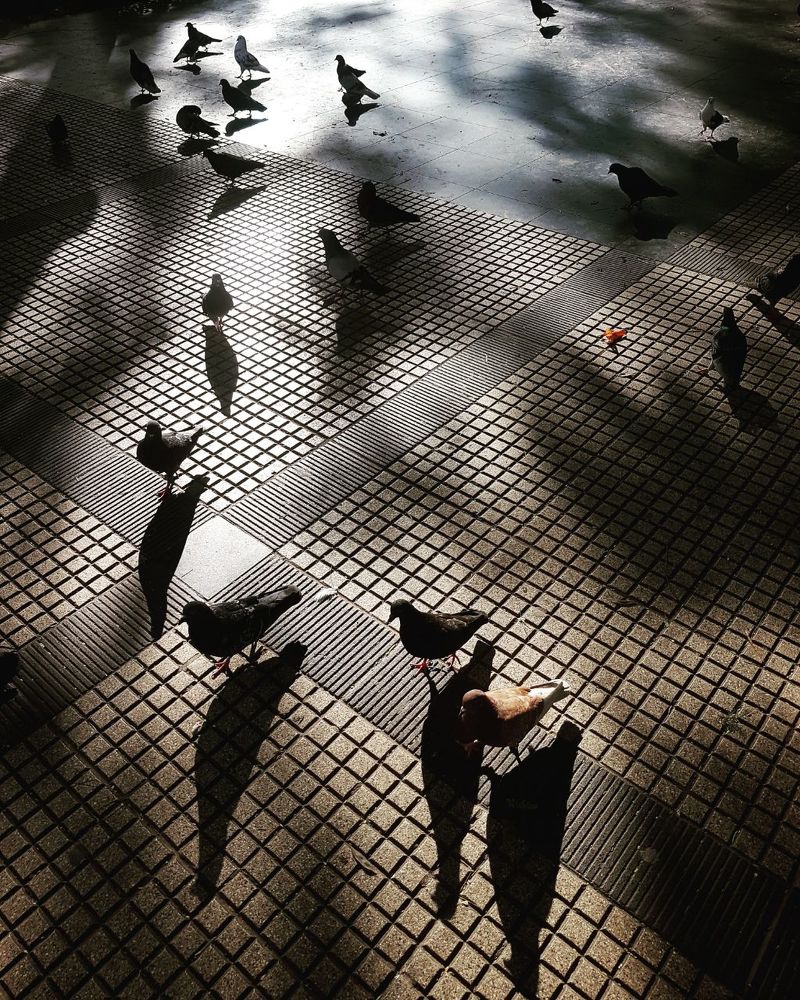 Photograph by Verónica