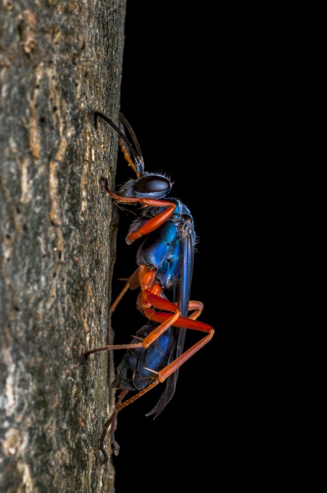 Photograph by Judá Isaí Martínez Uribe