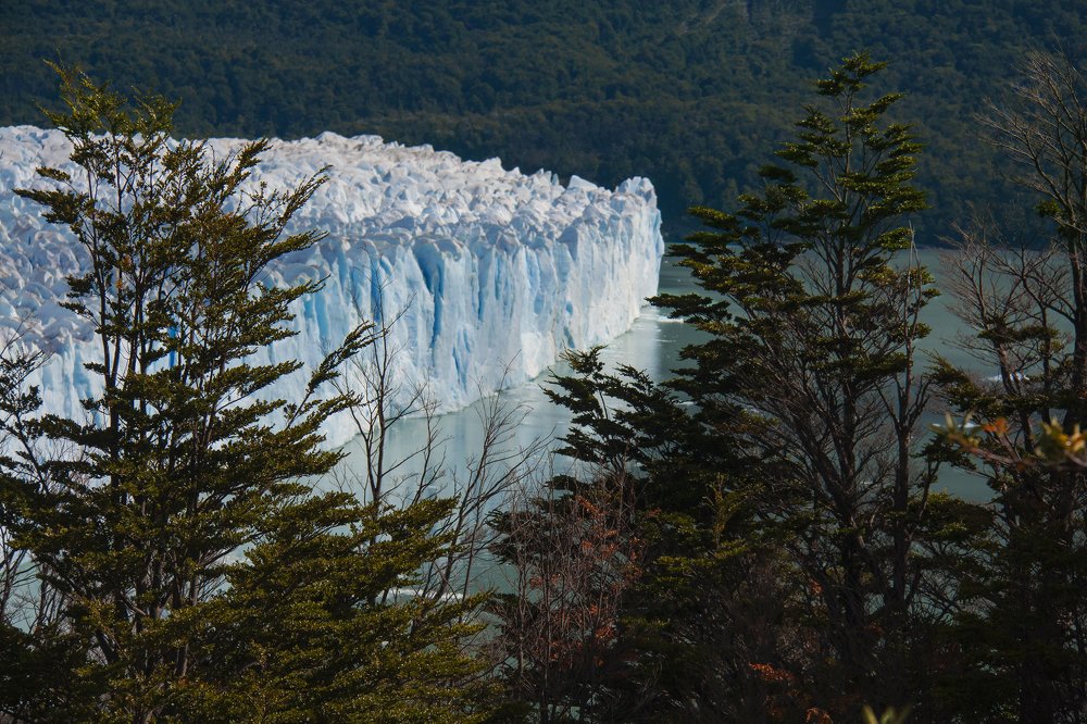 Glaciar Perito Moreno