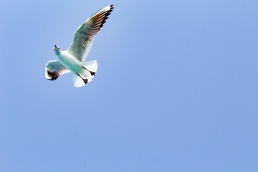 Photograph by Akash Parashar