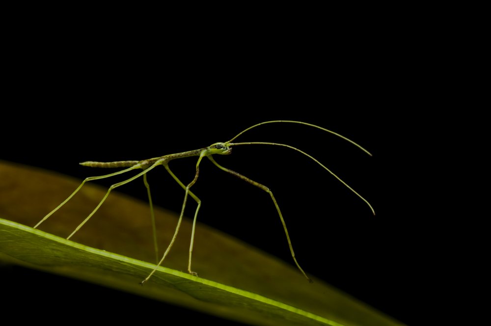 Photograph by Judá Isaí Martínez Uribe