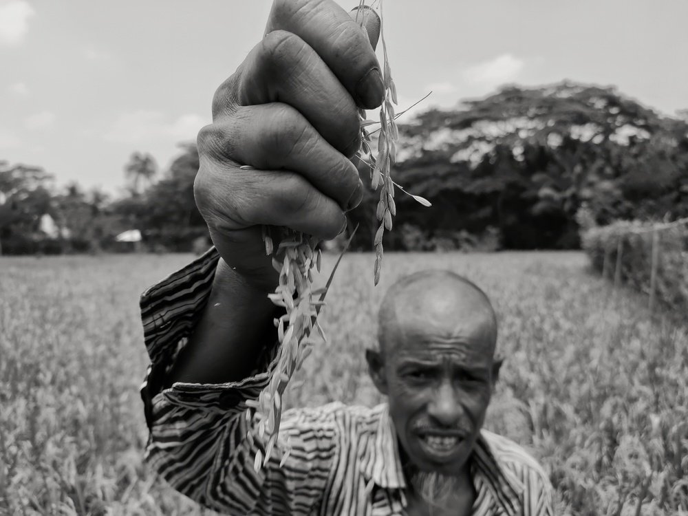 Farmer Story
