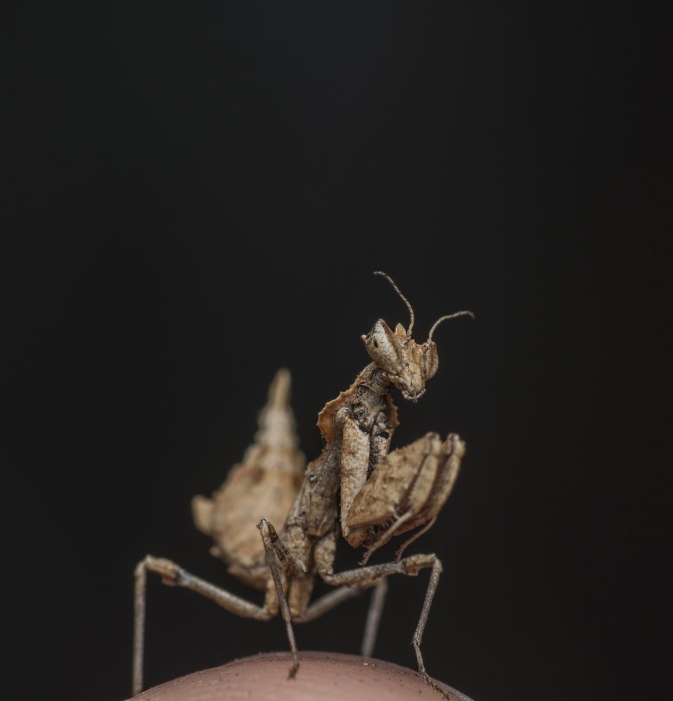 Photograph by Judá Isaí Martínez Uribe