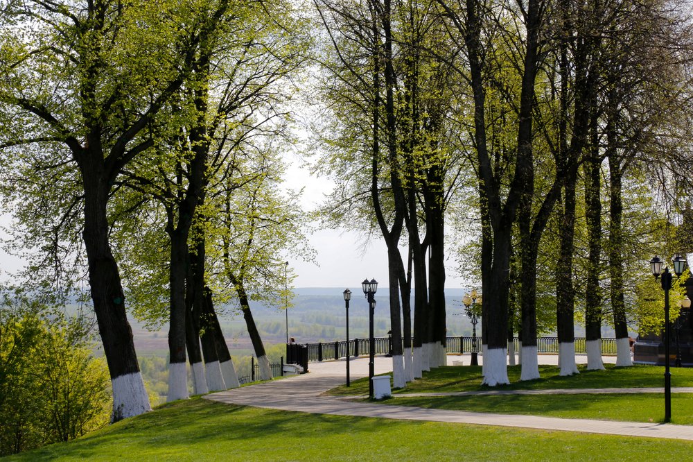 Photograph by Елена Буканина