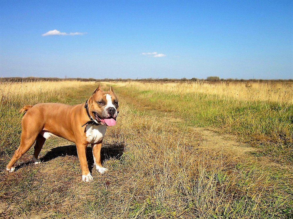 Photograph by Нелли Омельченко
