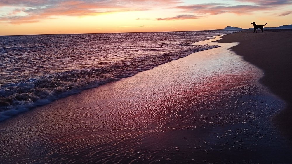 Valencian morning walk