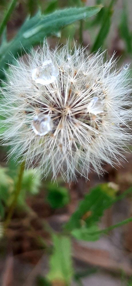 Photograph by Kandubasha