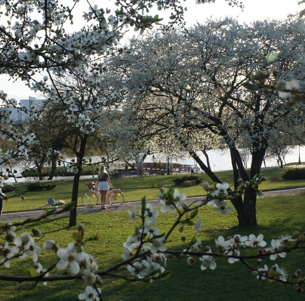 Photograph by Леонид Василевич