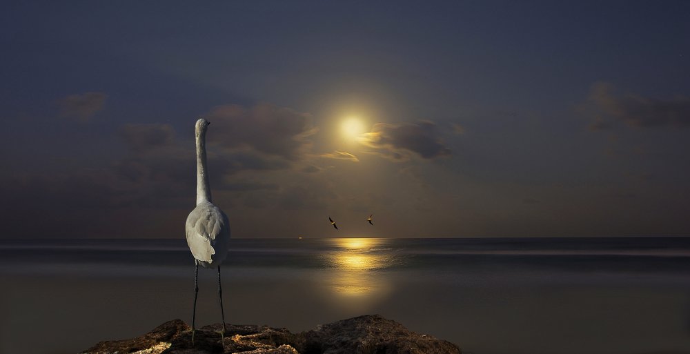 Photograph by Leonid Lan