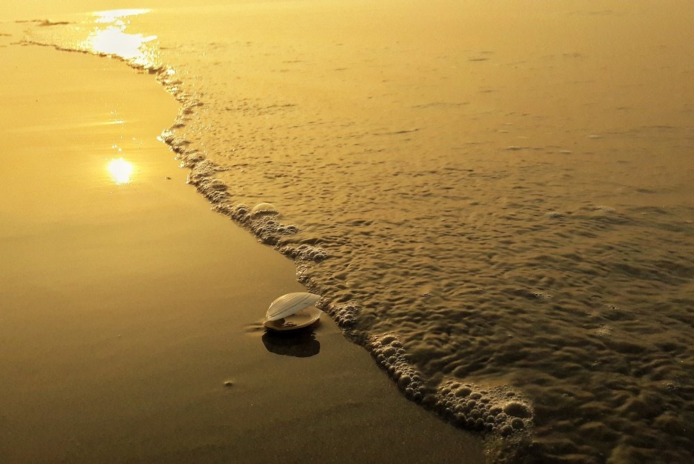 See sea