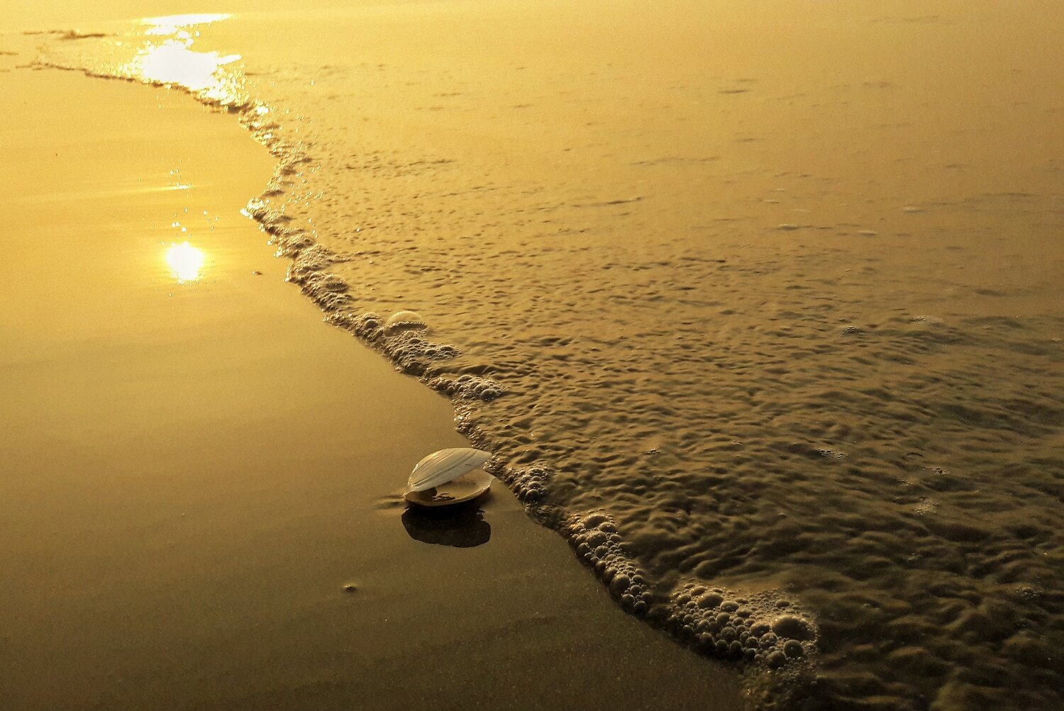 See sea