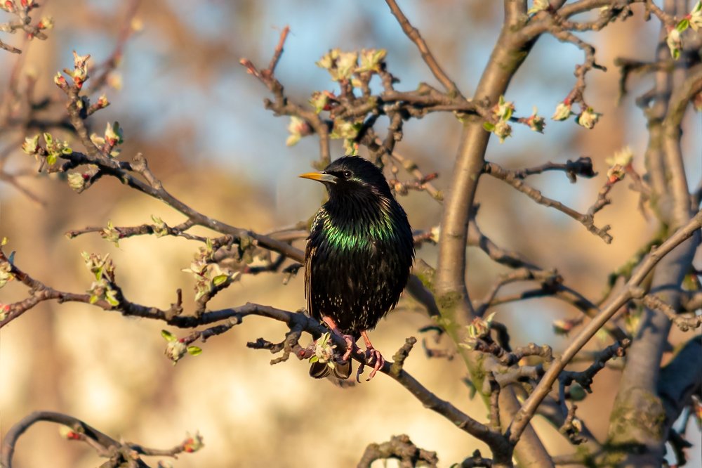Photograph by Дмитрий Чудинин