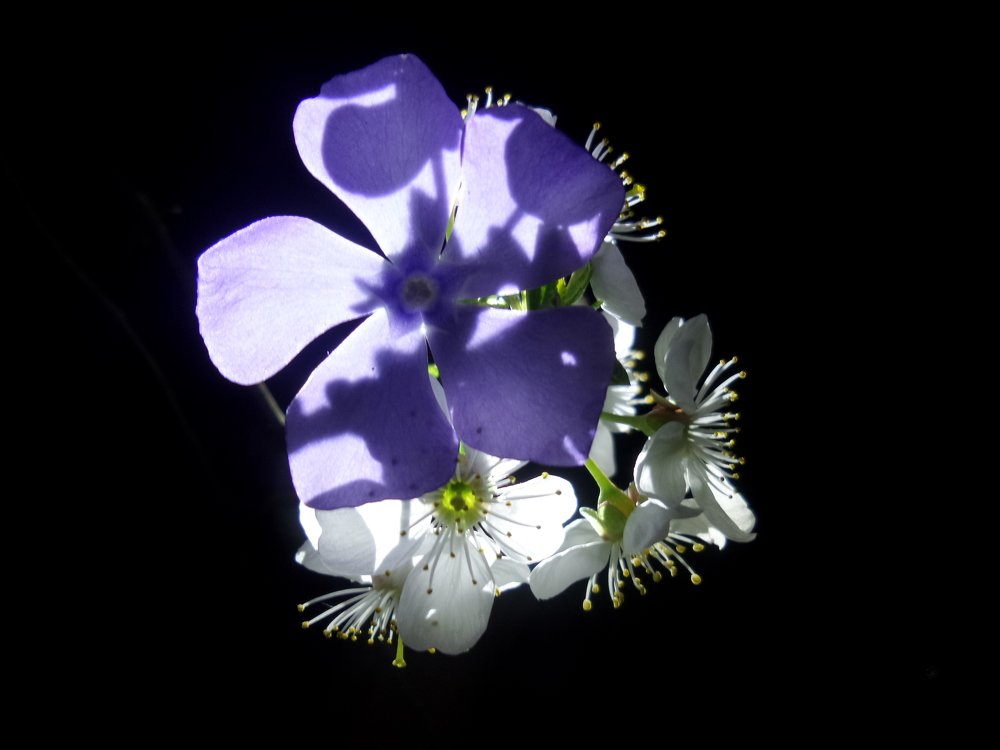 Photograph by Павел Агапов