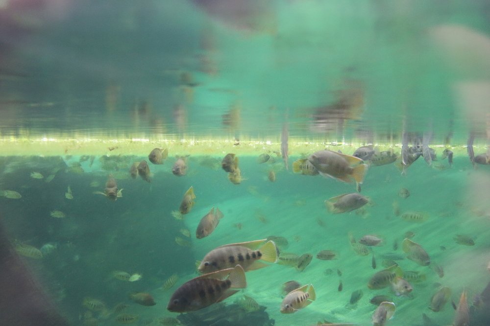 Фотография автора Андрій Майовець