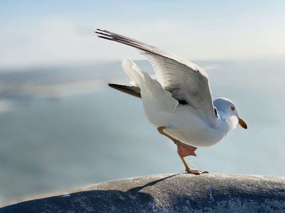 Quarantine it´s over