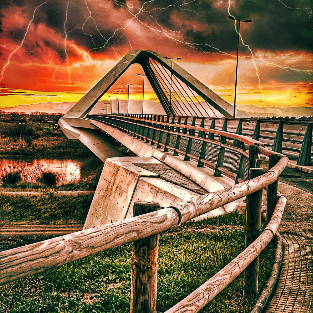 Photograph by Elena Kozlova