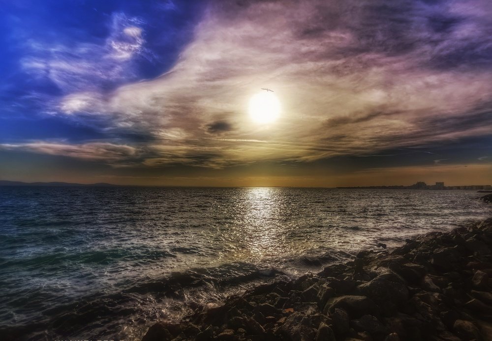 Photograph by Georgi Tomov