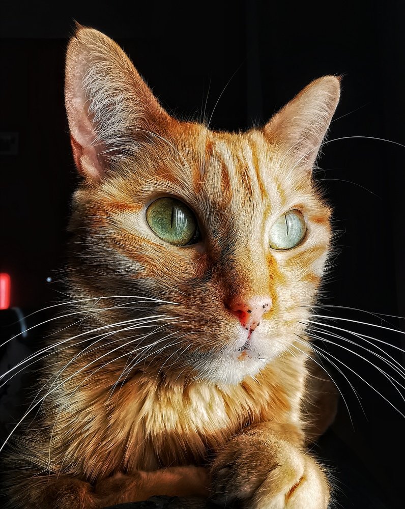 Photograph by Georgi Tomov