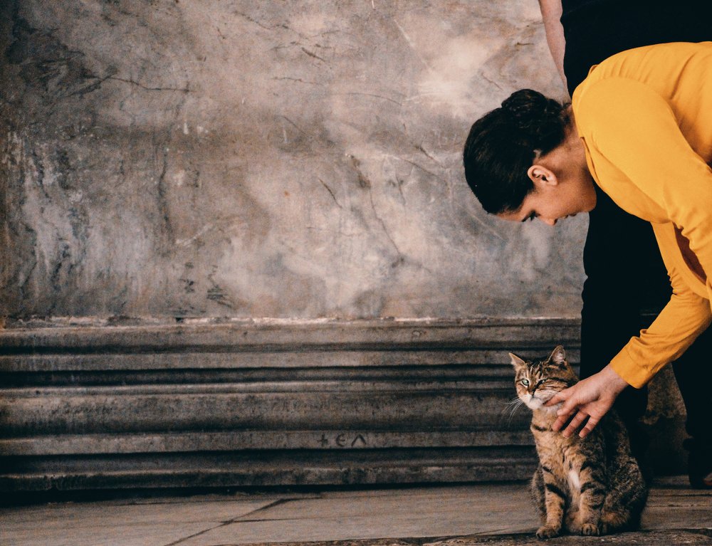 Photograph by Alexander Purtskhvanidze