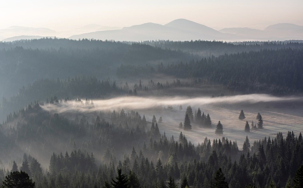 Misty sunrise  in Durmitor Park