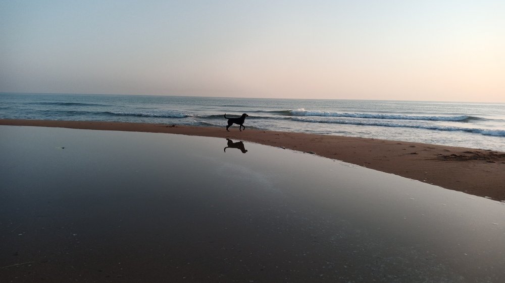 Valencian morning walk