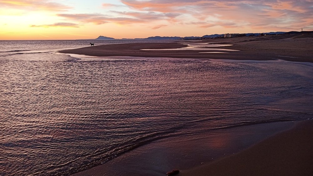 Valencian morning walk