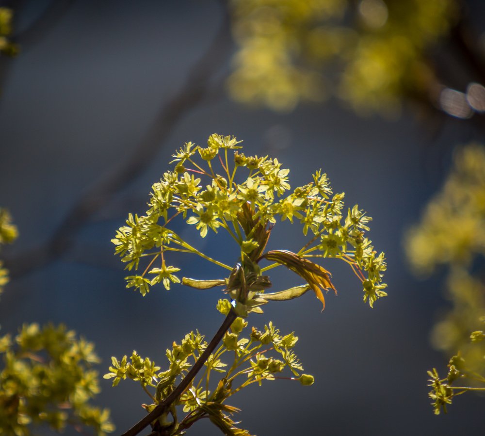 Photograph by Дмитрий Федоров