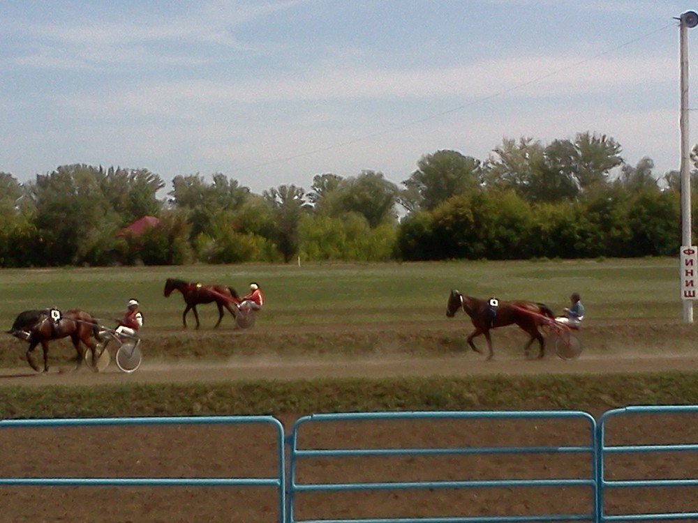 Photograph by карякина мария