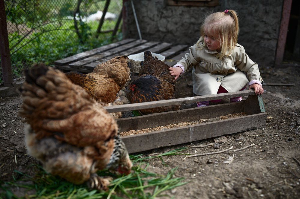 Познание Мира