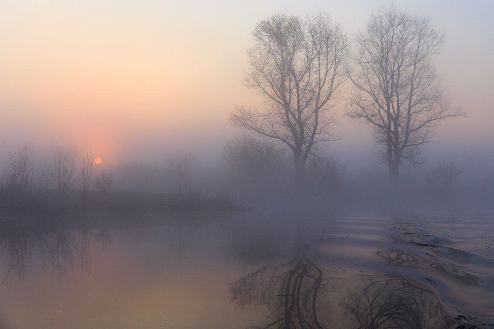 Photograph by Gennadiy Korzh