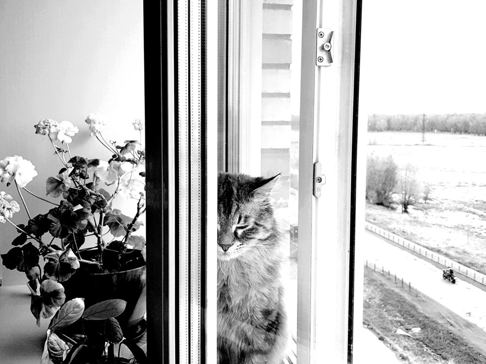 Photograph by Марина Макарова