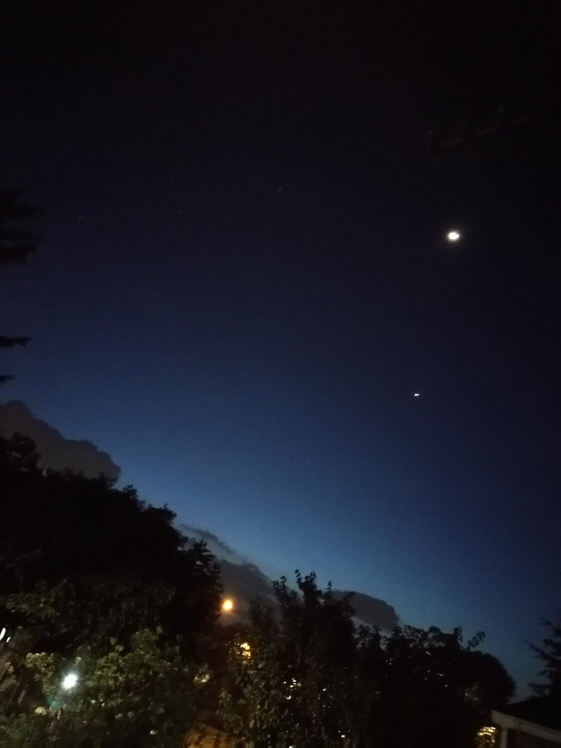 Photo #4568000