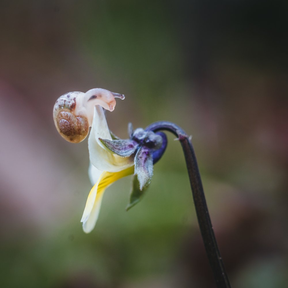 Photograph by Динара Зуйкова