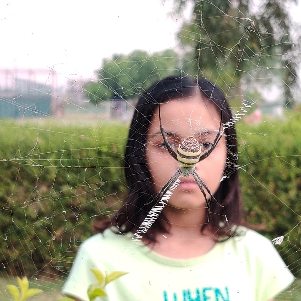 Photograph by vivek Kumar