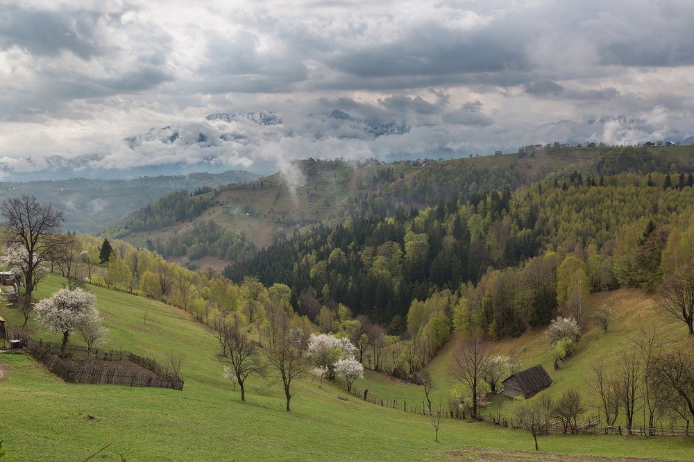 Photograph by Sergey