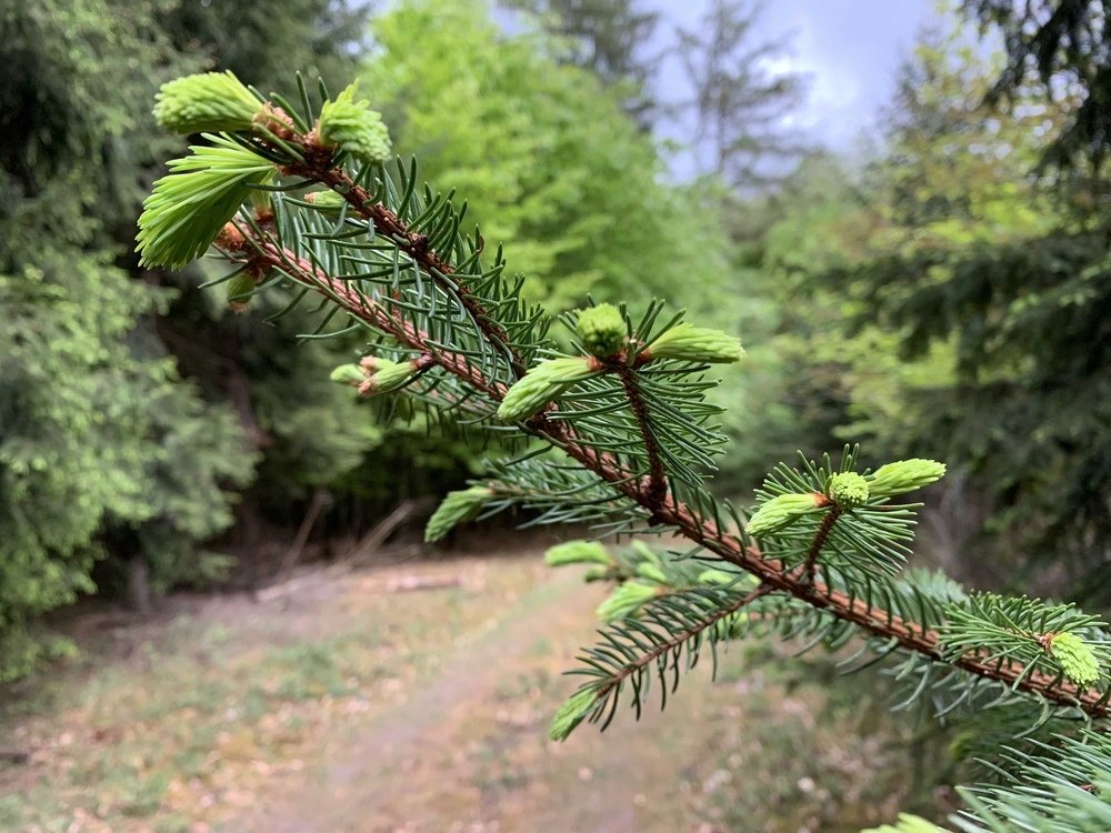 Photograph by Марина Дикманн