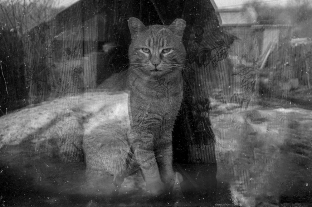 Photograph by Максим Сорокин